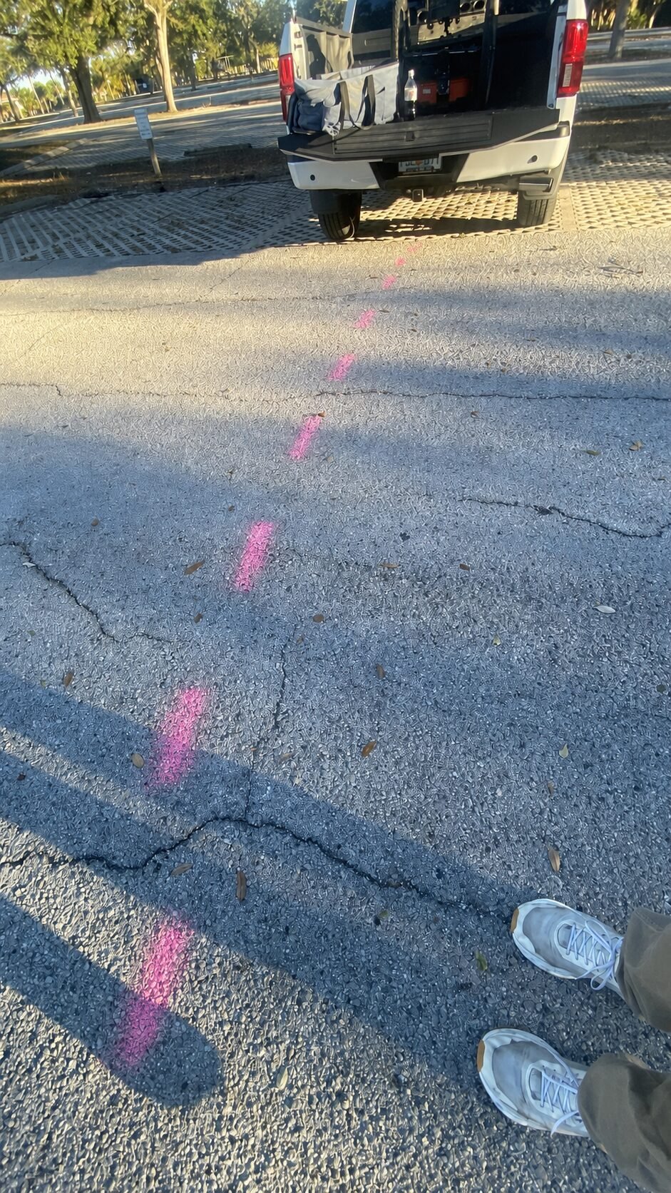 Located utility route marked in pink across pavement